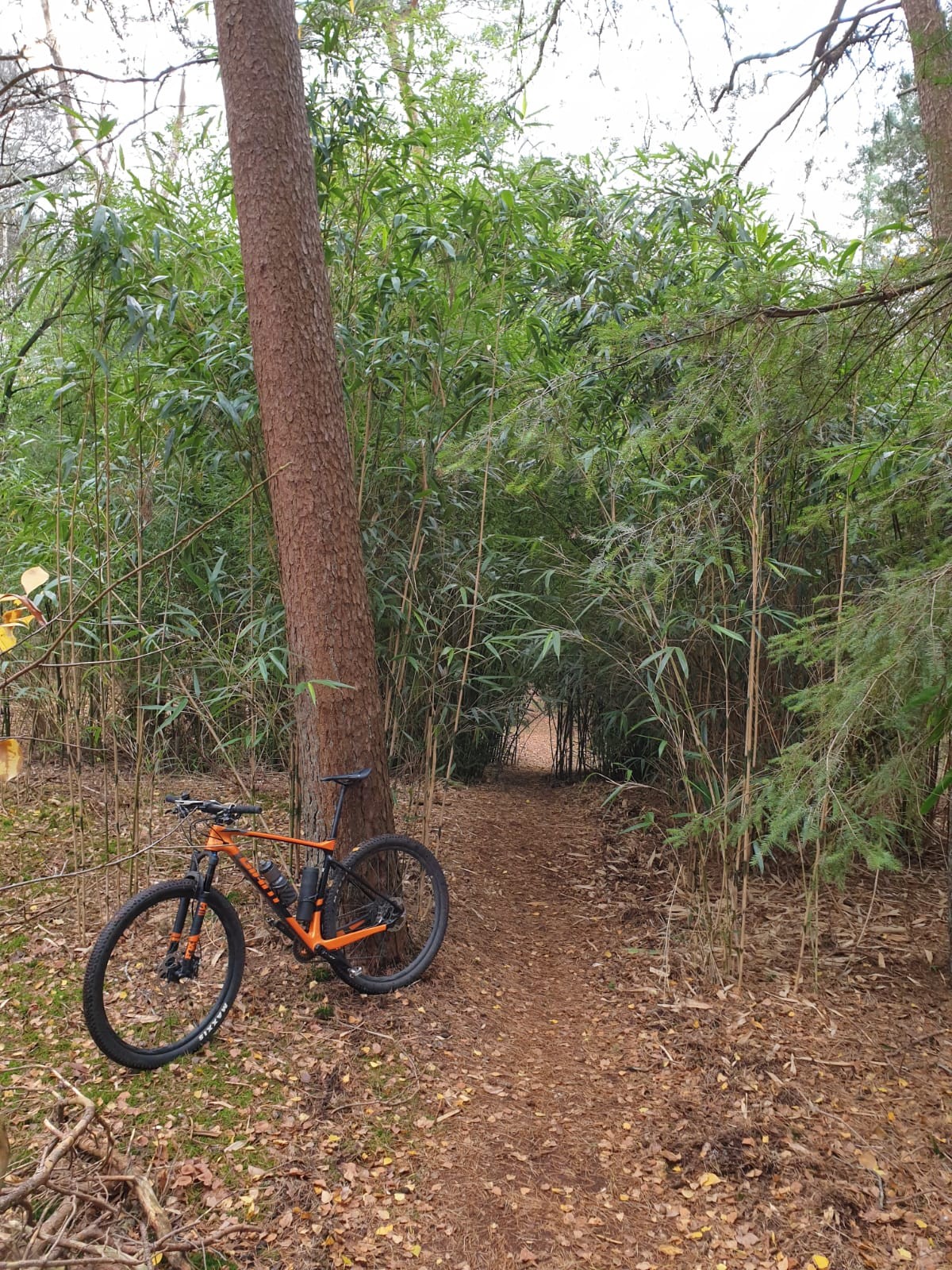 Fietswasplaats