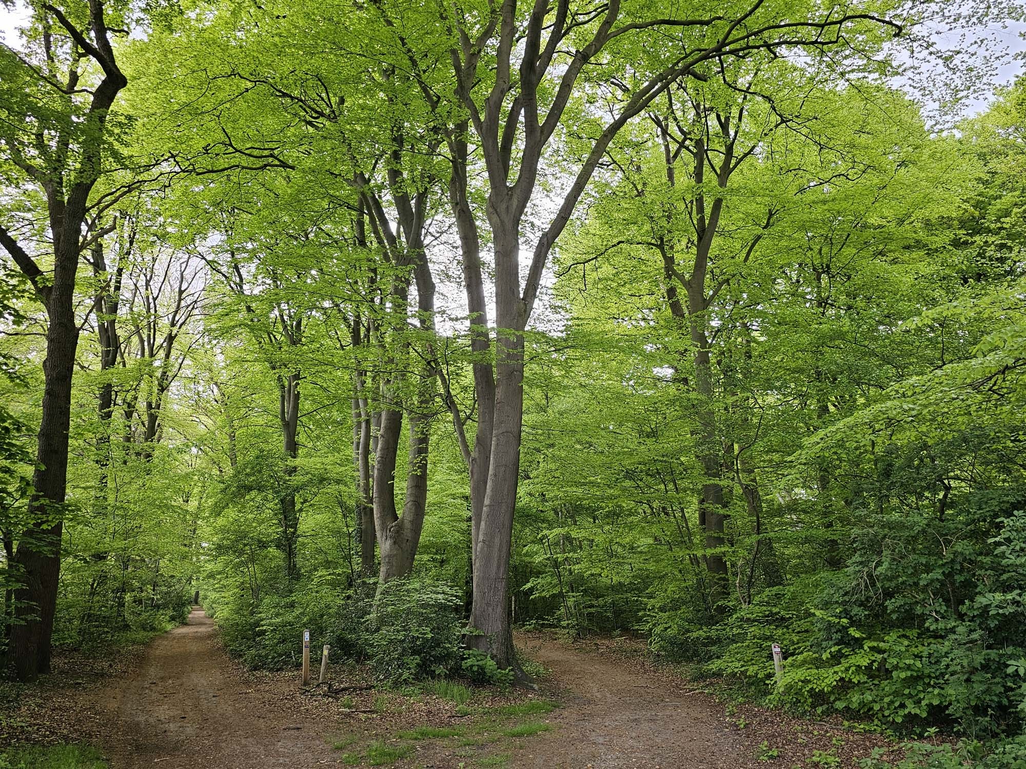 Natuur